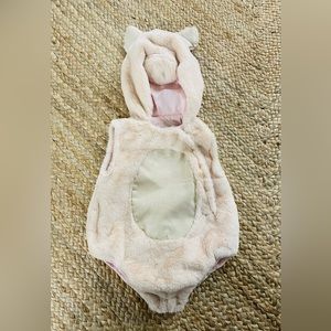 Pottery Barn Kids pig costume 12-24 months